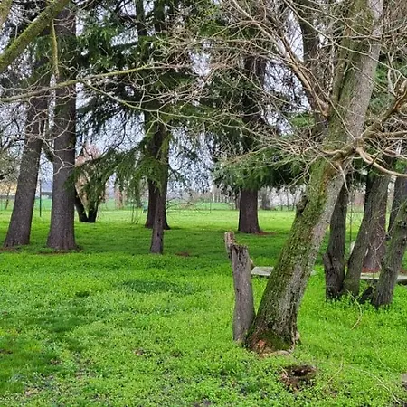 La Cicogna * La Mura San Carlo